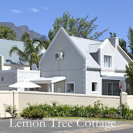 Lemon Tree Cottage Self Catering Franschhoek Exterior photo